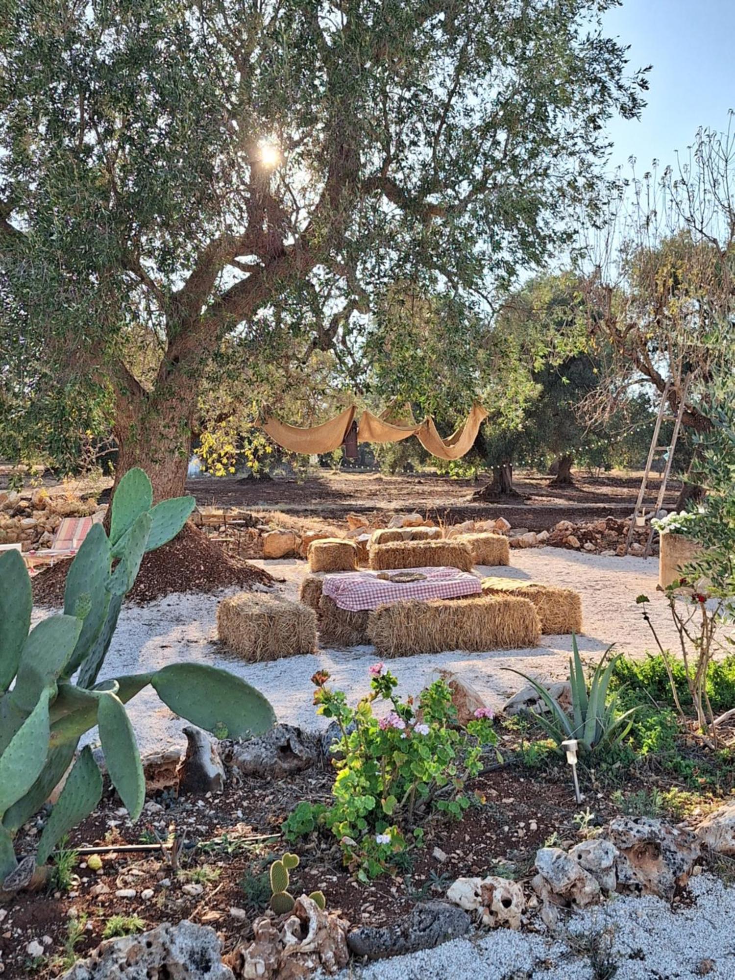 Residenza Anima Mediterranea Francavilla Fontana Exterior photo